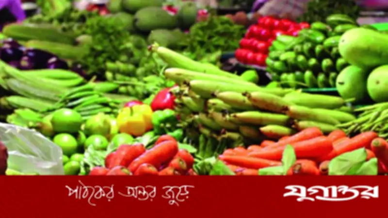 কিডনি রোগীদের জন্য সবজি হতে পারে ক্ষতিকর: কোনগুলো এড়িয়ে চলবেন?