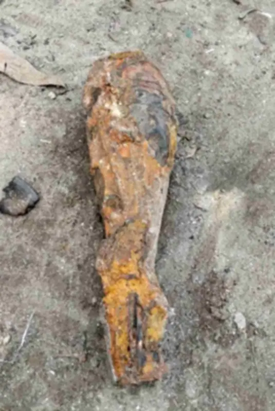 বাংলাদেশে অনলাইন শিক্ষার ভবিষ্যৎ: নতুন সম্ভাবনা ও চ্যালেঞ্জ