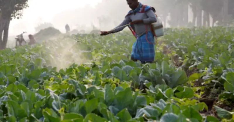 ভারত-যুক্তরাষ্ট্র বাণিজ্য চুক্তি: কৃষি বাজারে উন্মুক্তকরণ ও প্রতিক্রিয়া