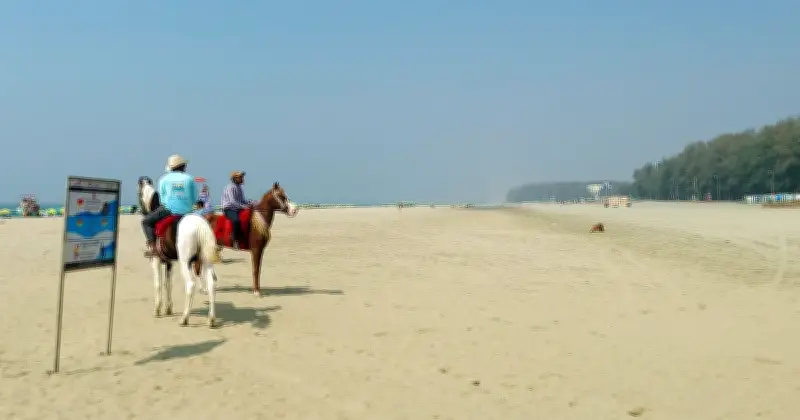 ত্রয়োদশ জাতীয় সংসদ নির্বাচনে কক্সবাজারের পর্যটন খাতে স্থবিরতা, হোটেল বুকিং ১০ শতাংশের নিচে