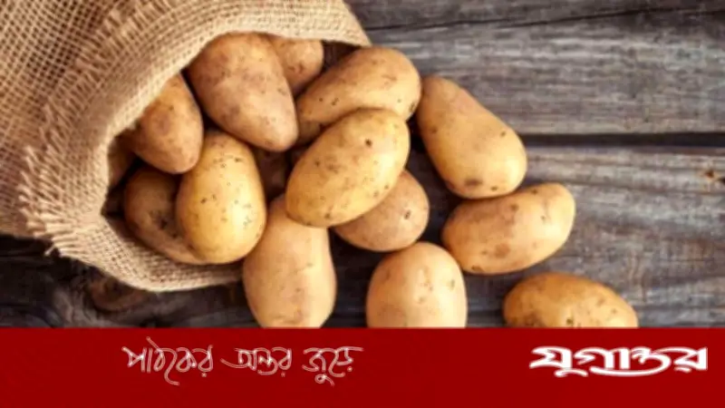 আলু: পুষ্টিকর শক্তির উৎস নাকি স্বাস্থ্য ঝুঁকির কারণ?