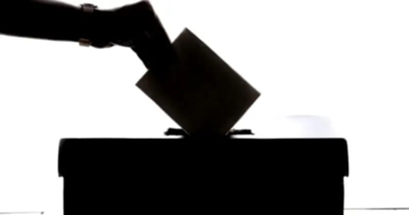 ভোটার যদি দেখেন তার ভোট ইতিমধ্যে পড়েছে, কী করবেন? নির্বাচন কমিশনের নির্দেশনা