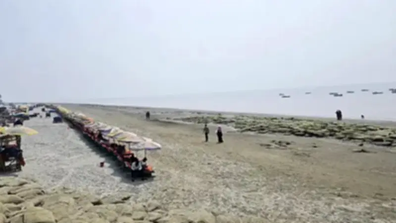 বিএনপি প্রধান উপদেষ্টার সঙ্গে আনফ্রেল পর্যবেক্ষকদলের সাক্ষাৎ, নির্বাচনী প্রস্তুতি ও জামায়াতের টাকা নিয়ে তদন্ত চলছে