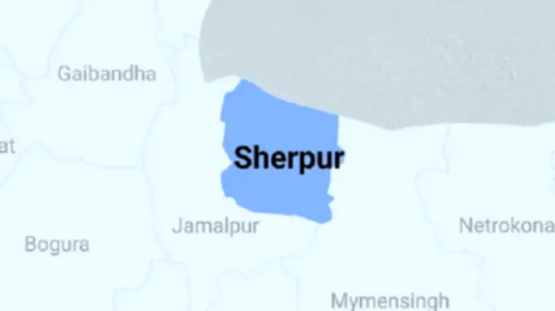 নির্বাচন পূর্ববর্তী দিনে নিরাপত্তা হুমকি ও প্রস্তুতি: সড়ক দুর্ঘটনায় কর্মকর্তা নিহত