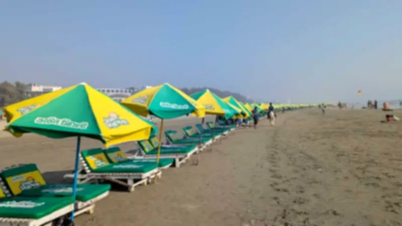 ভোটের আগে নির্বাচনী নীরবতা, পর্যটন মন্দা; জামায়াত আমীরের সঙ্গে বৈঠকে নির্বাচন পর্যবেক্ষক দল