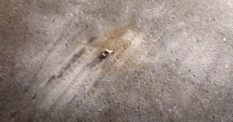 গোপালগঞ্জে তিন ভোটকেন্দ্রের সামনে ককটেল বিস্ফোরণ, এলাকাজুড়ে আতঙ্ক