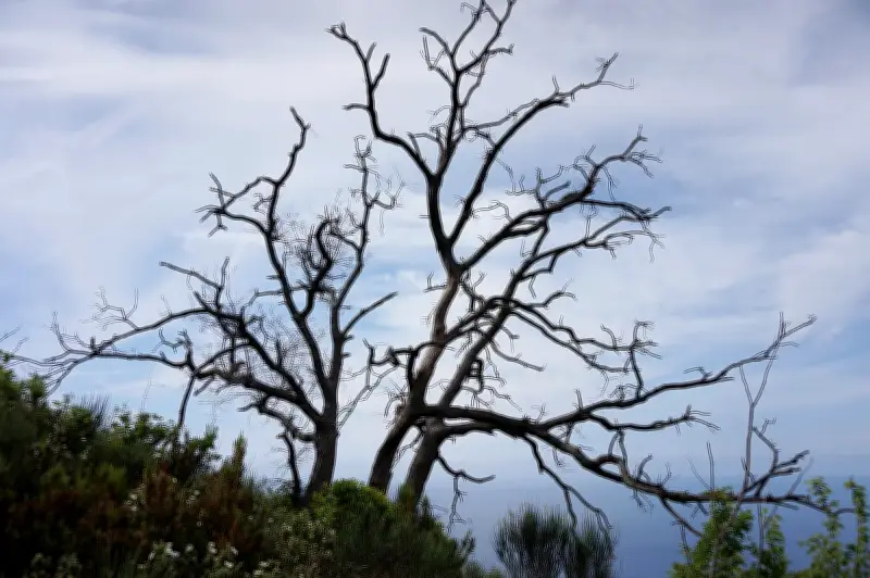 প্রতিদিনের ভালোবাসা ও সম্পর্কের গল্পে প্রতিধ্বনি: কবিতার আলোয় জীবনযাত্রা
