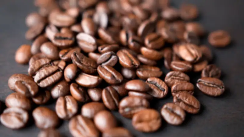 ইতিহাসের অন্ধকার অধ্যায়: কফির জন্য মৃত্যুদণ্ড ও নিষেধাজ্ঞার চার গল্প