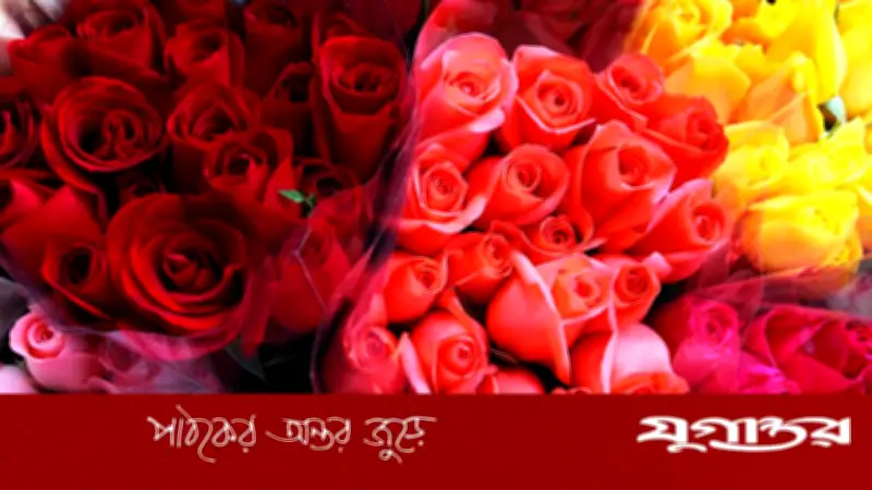 গোলাপের সংখ্যা ও রঙের ভাষা: ভালোবাসা দিবসে কী বার্তা দেয় প্রতিটি ফুল?