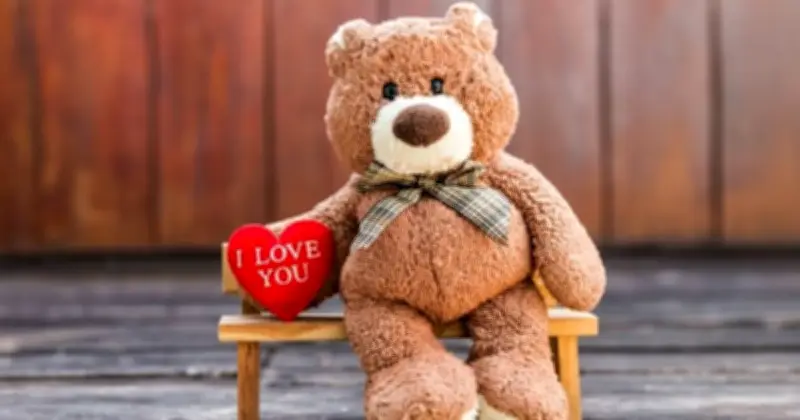 ভালোবাসার প্রতীক টেডি বিয়ার: নরম খেলনা থেকে আবেগের অনুষঙ্গ