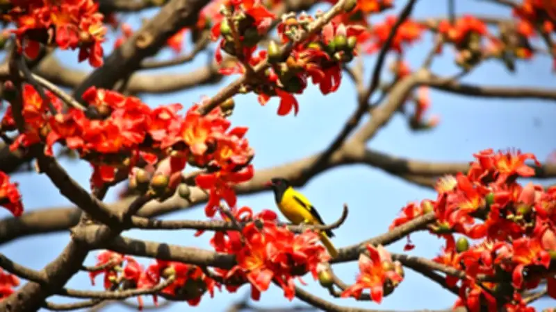 বাংলাদেশে অনলাইন শিক্ষার নতুন যুগ: ডিজিটাল প্ল্যাটফর্মে শিক্ষার্থীদের অংশগ্রহণ বাড়ছে