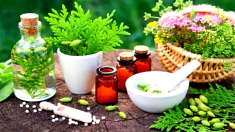 ত্রয়োদশ সংসদে নারী প্রতিনিধি কম, ভোট বিশ্বাসযোগ্য: ইইউ পর্যবেক্ষণ মিশন