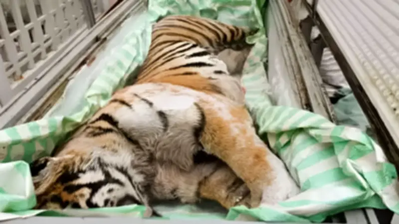 বিএনপির পুতুল রাজশাহীতে নারী তুলির মায়ের সঙ্গে দেখা ব্যারিস্টার আরমানের