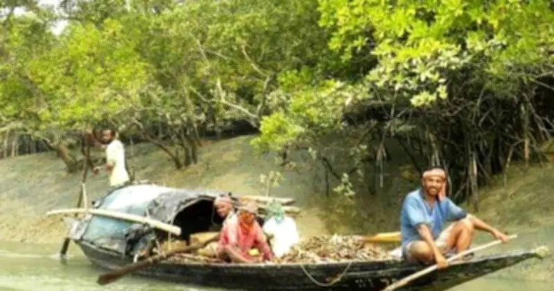 সুন্দরবনে বনদস্যুদের হামলায় ছয় জেলেকে অপহরণ, জেলেপল্লীতে আতঙ্ক