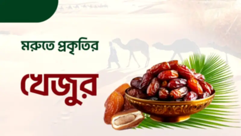 বাংলাদেশে রাজনৈতিক উত্তেজনা: বিএনপির মন্ত্রিসভা গঠন, রাকিবুলের হুঁশিয়ারি ও গ্রেপ্তার