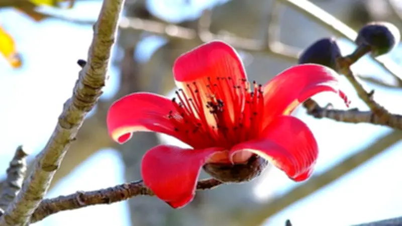 নাইজেরিয়ায় বন্দুকধারীদের হামলায় নিহত ৩২, বিএনপির ছায়া মন্ত্রিসভা গঠনের প্রস্তুতি