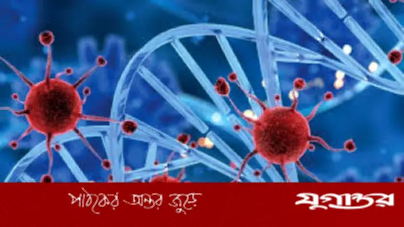 খাদ্য নিরাপত্তাহীনতা: বাংলাদেশে ক্যানসারের নীরব মহামারি ও সমাধানের পথ