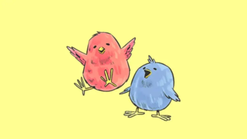 একটি মুরগির ডিম ফোটানো ও বাচ্চাদের নামকরণের মজার অভিজ্ঞতা