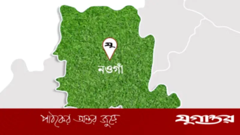 নওগাঁর বাজারে খাসির দোকানে কুকুরের মাংস বিক্রির অভিযোগ, পুলিশ উদ্ধার করেছে