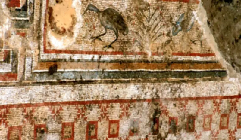 মিসরের সিনাই উপদ্বীপে আবিষ্কৃত ১০ হাজার বছরের প্রাচীন শিলাচিত্র