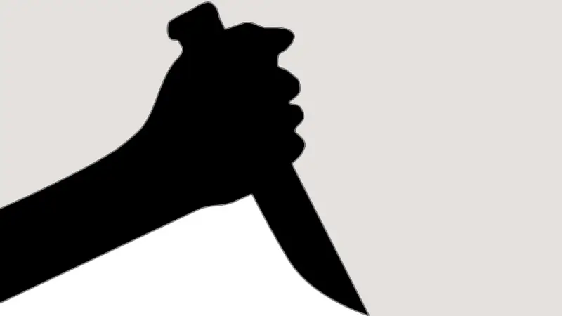 যাত্রাবাড়ীতে ছুরিকাঘাতে মাদ্রাসাছাত্র নিহত, দুর্বৃত্তদের হামলায় মৃত্যু