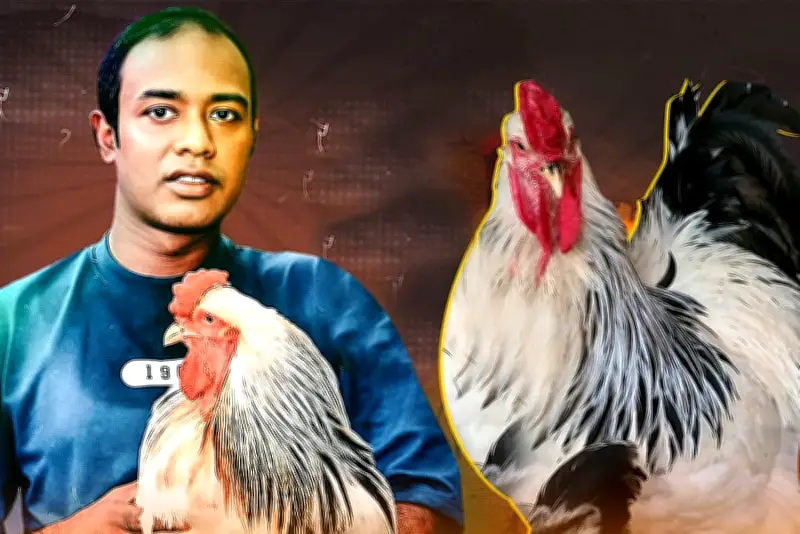 প্রথম আলোর ভিডিও প্রতিবেদন: বাংলাদেশের সাম্প্রতিক ঘটনাবলীর একটি দৃশ্যায়ন