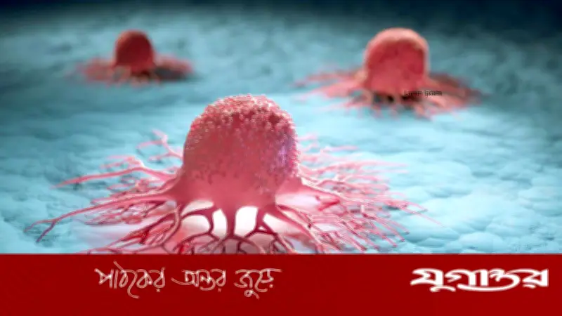 ক্যানসারের ঝুঁকি কমাতে আয়ুর্বেদিক ওষুধ: অশ্বগন্ধা, হলুদ, তুলসী, কালমেঘ ও গিলয়ের ভূমিকা