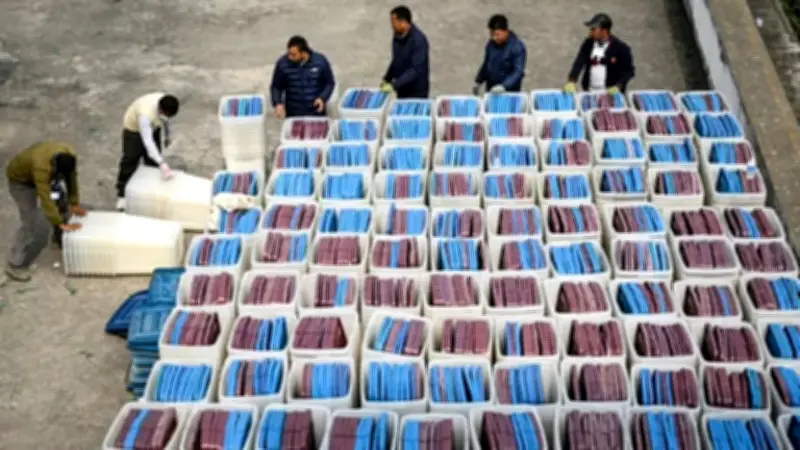 বিশ্ব সংবাদ: নেপালের নির্বাচন, ভারতের জয়, বাংলাদেশের প্রতিনিধিত্ব