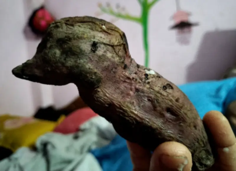 প্রকৃতির অপরূপ দৃশ্য: কাপ্তাই হ্রদ থেকে ফরিদপুরের মাঠ, মুকুল থেকে মৎস্যশিকার