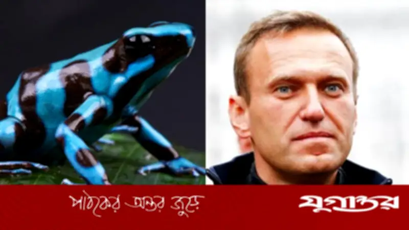 নাভালনি হত্যায় 'ডার্ট ফ্রগ' বিষের অভিযোগ, রাশিয়া প্রত্যাখ্যান করেছে