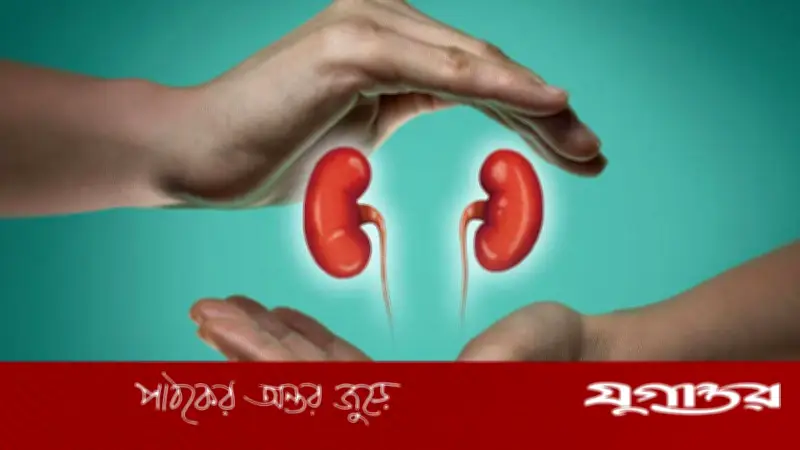কিডনি সুস্থ আছে তো? ইউরিন পরীক্ষায় আগাম সতর্কতা পেতে পারেন