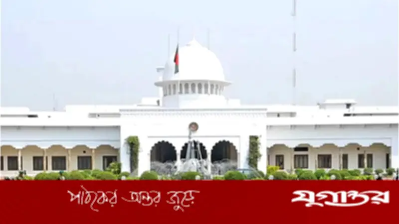 বিএনপির নতুন সরকার: কে হবেন পরবর্তী রাষ্ট্রপতি?