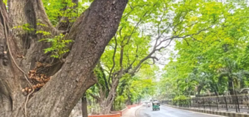 বিএনপি সরকার গঠনে মন্ত্রিপাড়ায় ৩৬ বাংলোবাড়ি-অ্যাপার্টমেন্ট প্রস্তুত, শপথ মঙ্গলবার