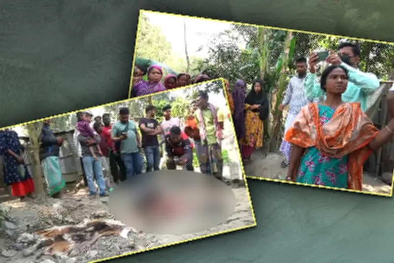 বাংলাদেশে অনলাইন শিক্ষার নতুন সম্ভাবনা: প্রযুক্তির মাধ্যমে শিক্ষার প্রসার