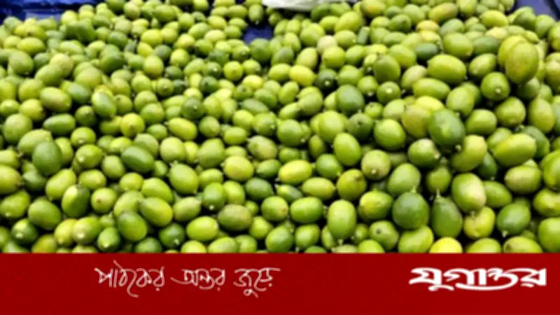 বগুড়ায় রমজানের আগেই লেবুর দাম চড়া, ক্রেতাদের মধ্যে অসন্তোষ