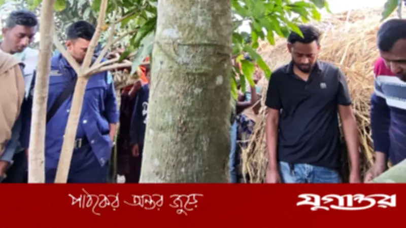 গোসাইরহাটে বিএনপি কর্মীর ঝুলন্ত লাশ উদ্ধার: জমি বিরোধের ইঙ্গিত
