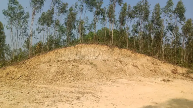 চট্টগ্রামের লোহাগাড়ায় সরকারি টিলা রাতের আঁধারে কাটার অভিযোগ