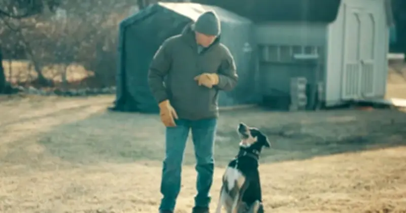 ডার্ক ওয়েবে ছড়ানো নির্যাতনের ছবি থেকে ইটের দেয়ালের সূত্রে উদ্ধার কিশোরীর