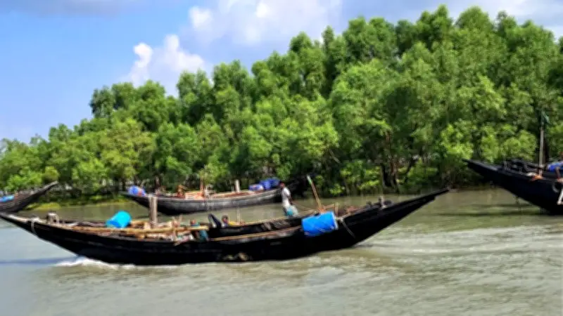 বাংলাদেশে অনলাইন শিক্ষার প্রসারে নতুন উদ্যোগ: ডিজিটাল প্ল্যাটফর্মের সম্প্রসারণ