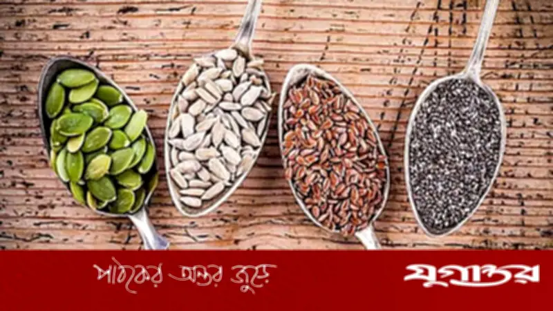 সুস্থ থাকার বীজ মন্ত্র: কোন বীজ আপনার জন্য উপকারী?