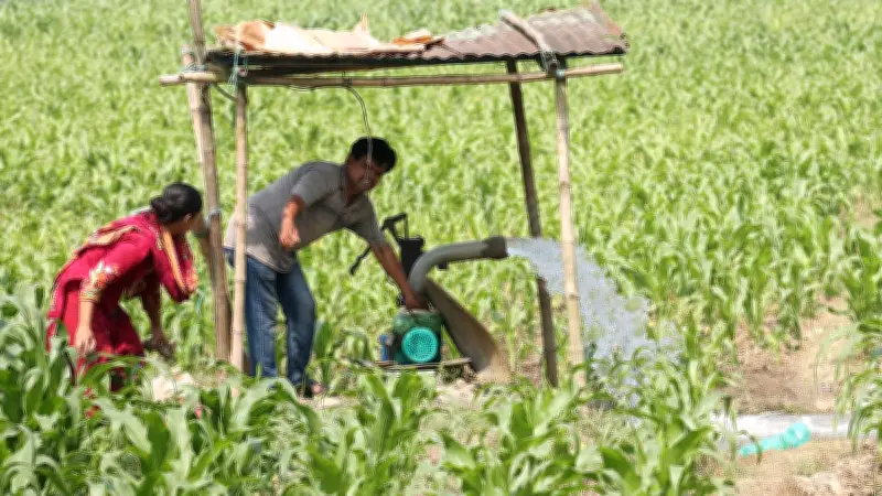 বাংলাদেশের কৃষি ও গ্রামীণ জীবনের একঝলক: পেঁয়াজ থেকে তরমুজ, সুন্দরবন থেকে রংপুর