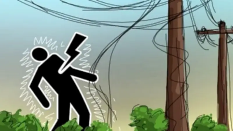 চাঁদপুরের মতলব দক্ষিণে বিদ্যুৎস্পৃষ্টে মা-ছেলের মর্মান্তিক মৃত্যু