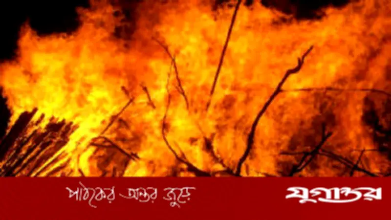নাটোরের লালপুরে ভয়াবহ অগ্নিকাণ্ড: গরুসহ ঘর পুড়ে ছাই, দিনমজুর গুরুতর দগ্ধ