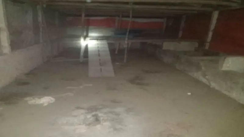 মীরসরাইয়ে জামায়াত নেতার খামার থেকে ছাগল লুট, প্রধানমন্ত্রীর বৈঠকে বিদ্যুৎ নির্দেশ ও নওগাঁয় চোর চক্র গ্রেফতার