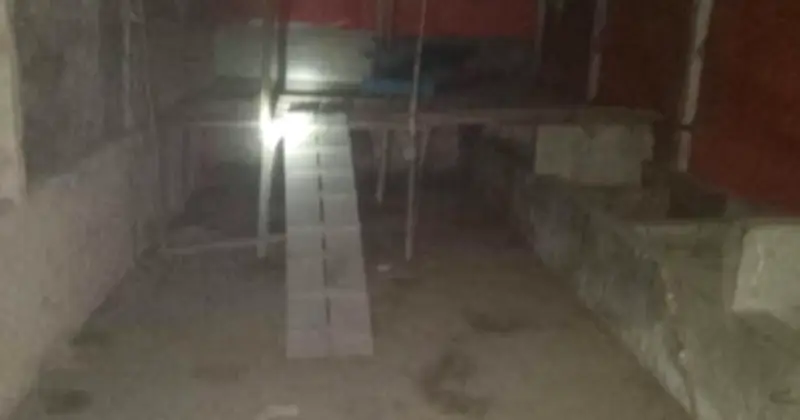 মীরসরাইয়ে জামায়াত নেতার খামার থেকে ৪০ ছাগল লুট, কর্মচারীকে বেঁধে রেখে পালিয়েছে দুর্বৃত্তরা