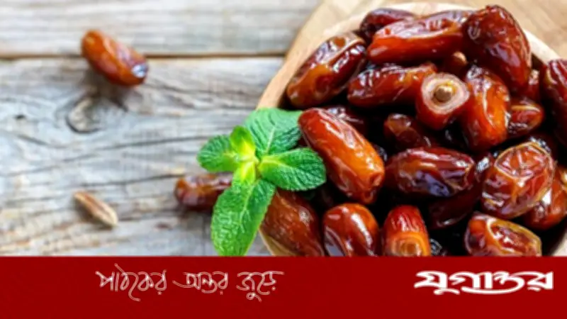 ২০২৪ সালে ইরানের খেজুর রপ্তানি থেকে আয় ২১৩ মিলিয়ন ডলার, ২৫% বৃদ্ধি