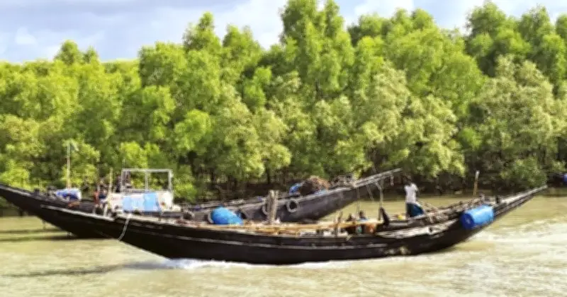 দুবলারচরে বনদস্যু আতঙ্ক: মাছ ধরা বন্ধ, দশ সহস্রাধিক জেলে চরে আটকা