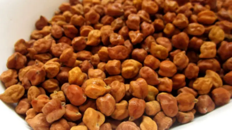 হাল ফ্যাশনের নতুন প্রতিবেদন: সুস্থতা ও জীবনযাপনে আধুনিক ট্রেন্ডস