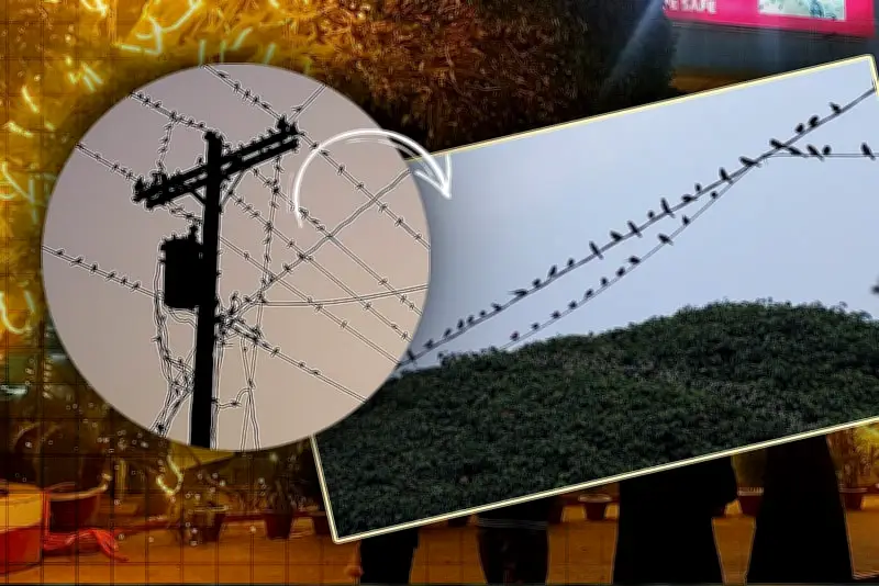 বাংলাদেশে অনলাইন শিক্ষার নতুন সম্ভাবনা: প্রযুক্তির মাধ্যমে শিক্ষার প্রসার