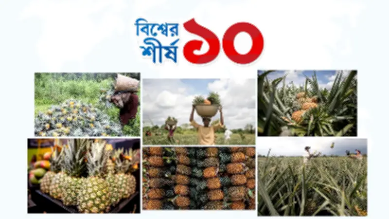 বিশ্বে আনারস উৎপাদনে শীর্ষ ১০ দেশের তালিকা প্রকাশ